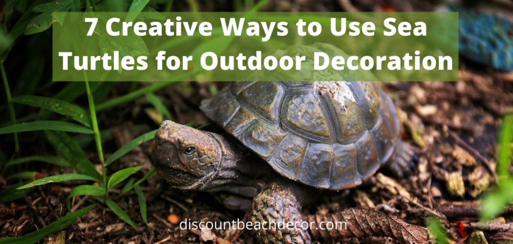 7 Creative Ways to Use Sea Turtles for Outdoor Decoration