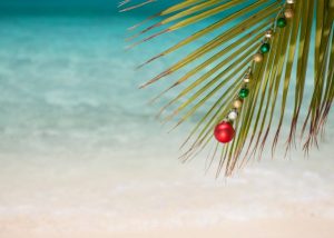 Palm tree with christmas ornaments